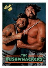 1990 Classic WWF The History of Wrestlemania #148 Bushwhackers