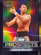 AEW 2025 Skybox Metal (Pick Your Card)Base, Parallels, Inserts