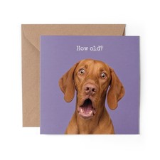 1 x Shocked Vizsla Dog Greeting Card - Happy Birthday How Old? Joke #72558