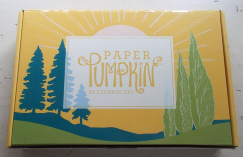 Stampin' Up! Paper Pumpkin Here's To You March 2021 Card Kit Makes 8 No Stencils