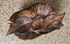 Vintage Hand Carved BURL WOOD Rustic Leaf Shaped Basket With Handle 12" X 8"
