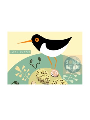 Osterkarte, Austernfängerkarte, Grußkarte, Vogelkarte, Seevogelkunst