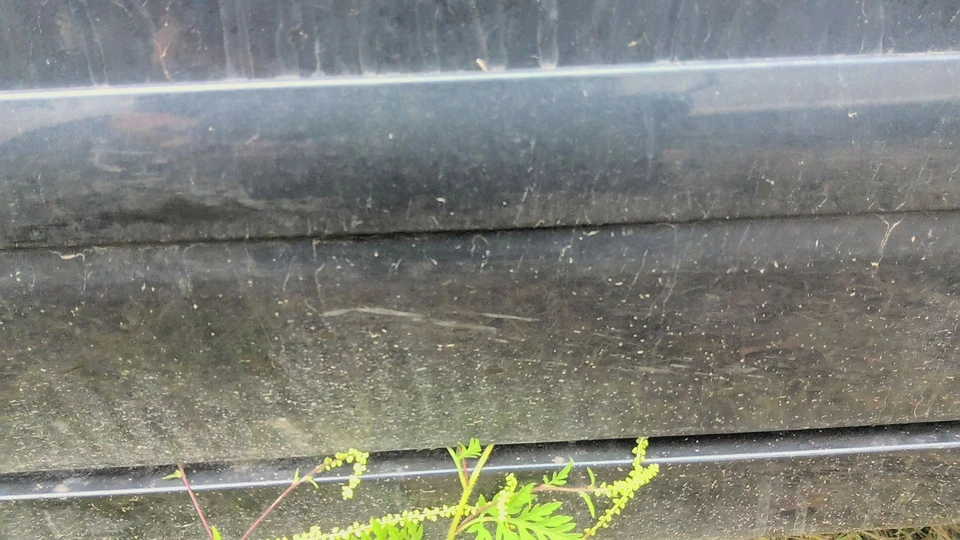 15 NISSAN ALTIMA Front Door Scratched Passenger Rightstormrbd Foto 2 de 3