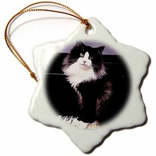 3dRose Tuxedo Cat 3 inch Snowflake Porcelain Ornament