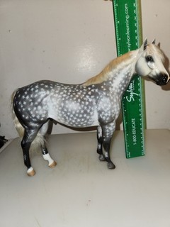 Customized QH By C. Williams. #129/200 1992