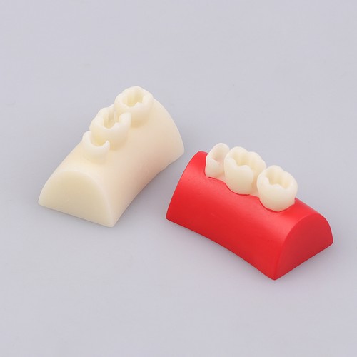 Dental Inlay Exercise Model Block Filling Exercise For Dentistry Teaching Stud - Picture 6 of 12