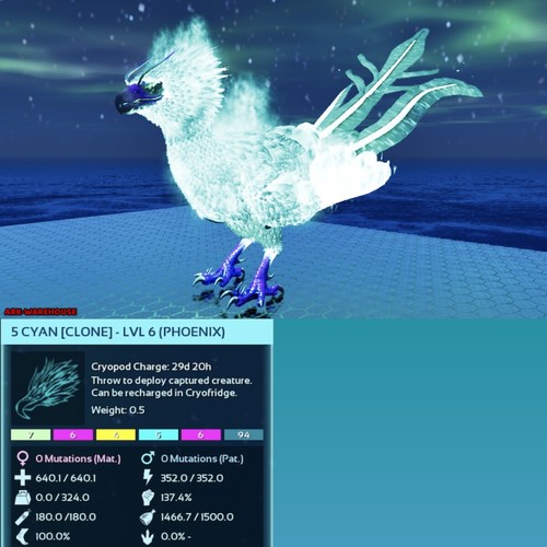 Phoenix Clones - Multi Colours - Ark Survival Ascended Crossplay PVE - Picture 4 of 12