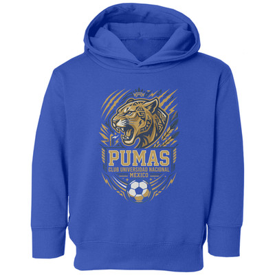 Futbol Inspired Unam Graphic Mexico Soccer Tribute Toddler Hooded Sweatshirt