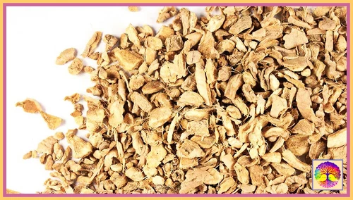 Ginger Root Tea ORGANIC Dried Herb BULK 200gm PREMIUM Immune Health & Digestion