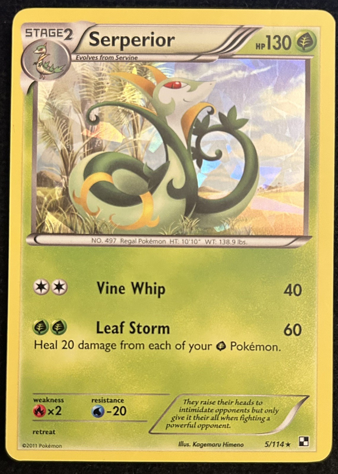 LP - Serperior 5/114 Cracked Ice Holo - Black & White - Pokémon TCG