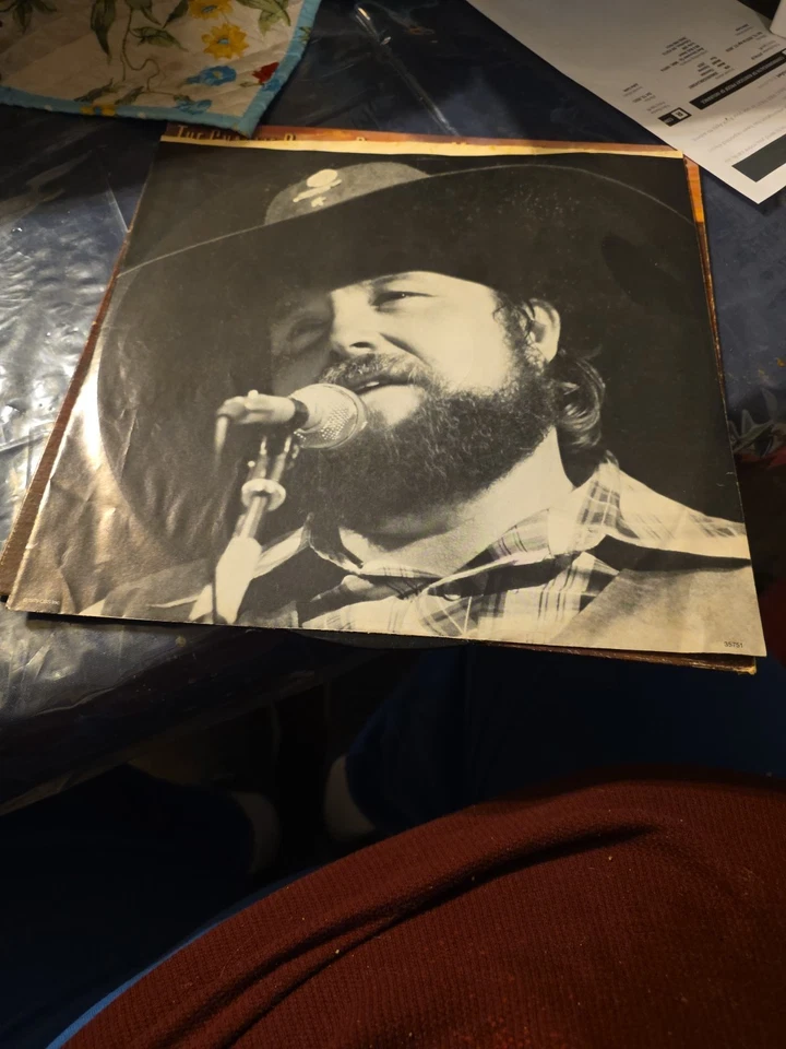 The Charlie Daniels Band Million Mile Reflections LP 1979 Epic Records UNGRADED - Image 3 of 4