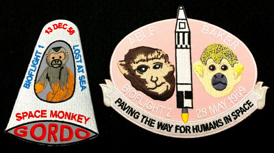 Space monkey Gordo, Able & Baker animal Astronaut, Cape Canaveral, rocket launch