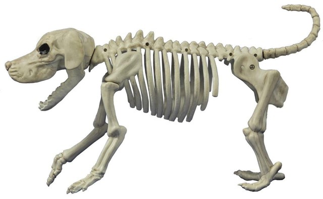 21" Gothic Halloween Crazy Bones Life Size Poseable Dog ...