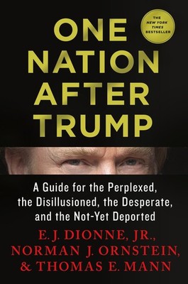 One Nation After Trump: A Guide for the Perplexed, the Disillusioned, the De...