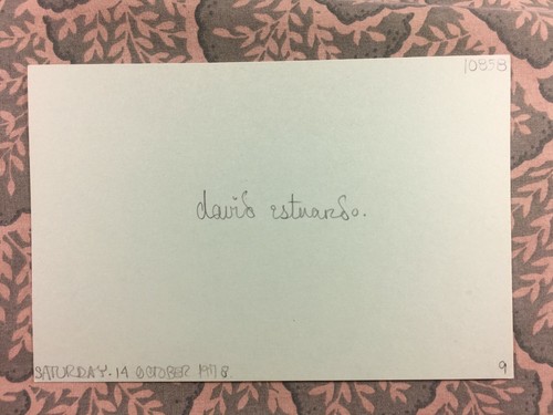 David Estuardo - Mexican Cinema - The Spiral Road -On the Line -Autographed 1978 - Picture 2 of 2