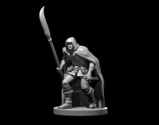 Half Elf Male Warlock V6 28mm Scale DND D D Tabletop Miniature
