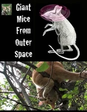 Giant Mice From Outer Space: (The Adventures of Finny the City Cat) by David F.