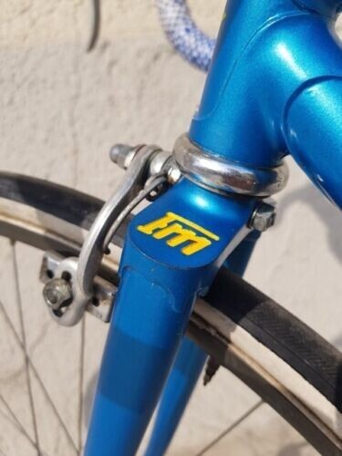 Bici da corsa moser campione del mondo campagnolo pantografata vintage - Foto 17 di 24