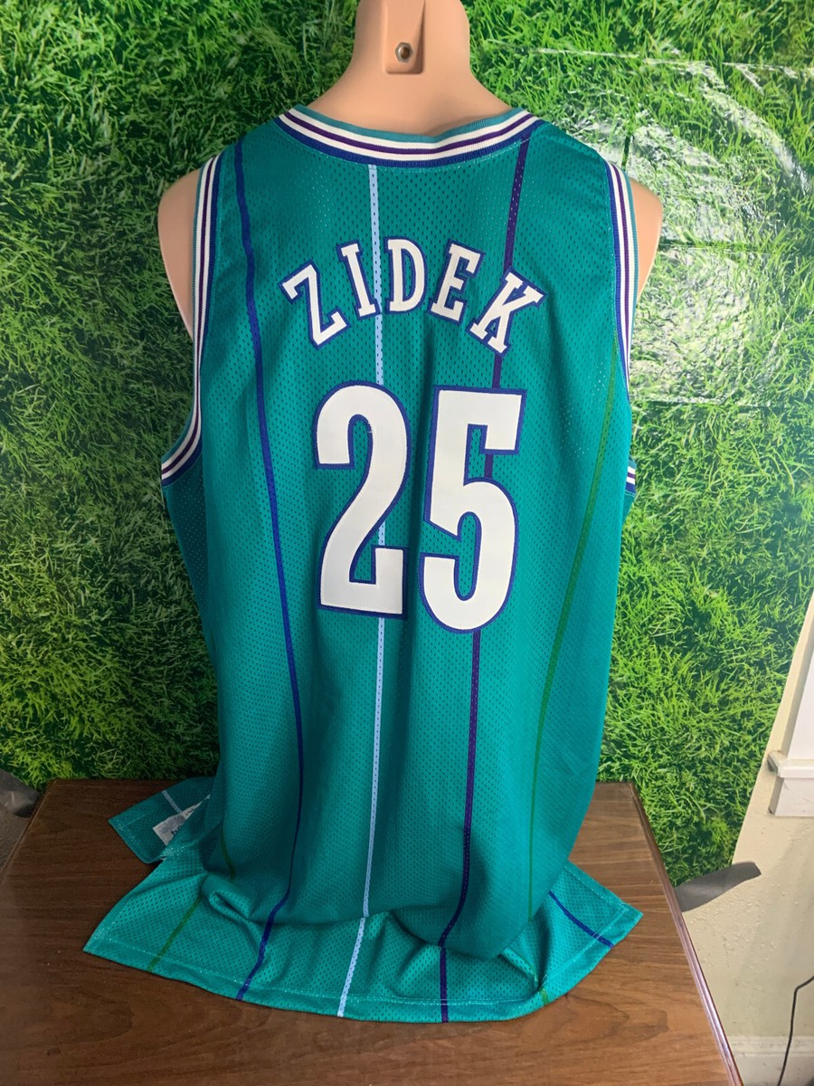 NBA Charlotte Hornets Tony Delk ゲームシャツ TONY DELK Champion CHARLOTTE HORNETS Teal Jersey 44 NBA