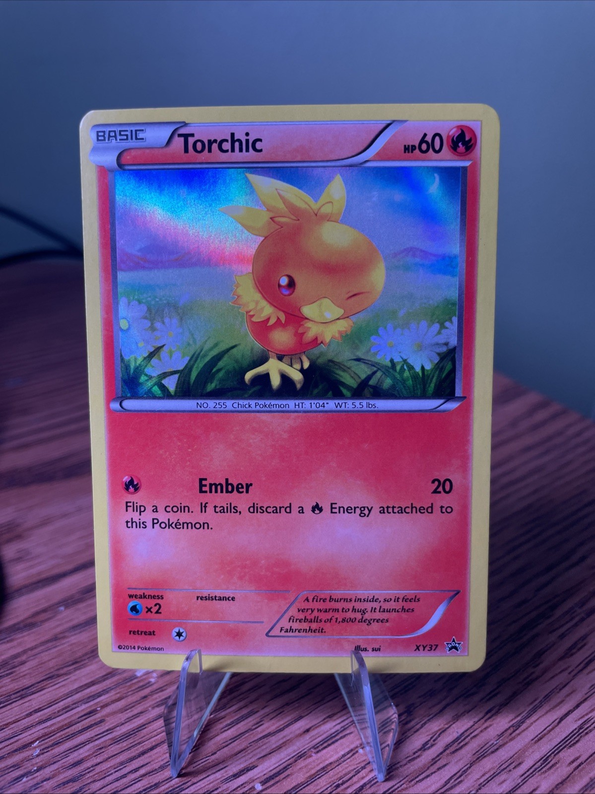Torchic - Holo - XY37 Black Star Promo - Pokémon TCG - 2014