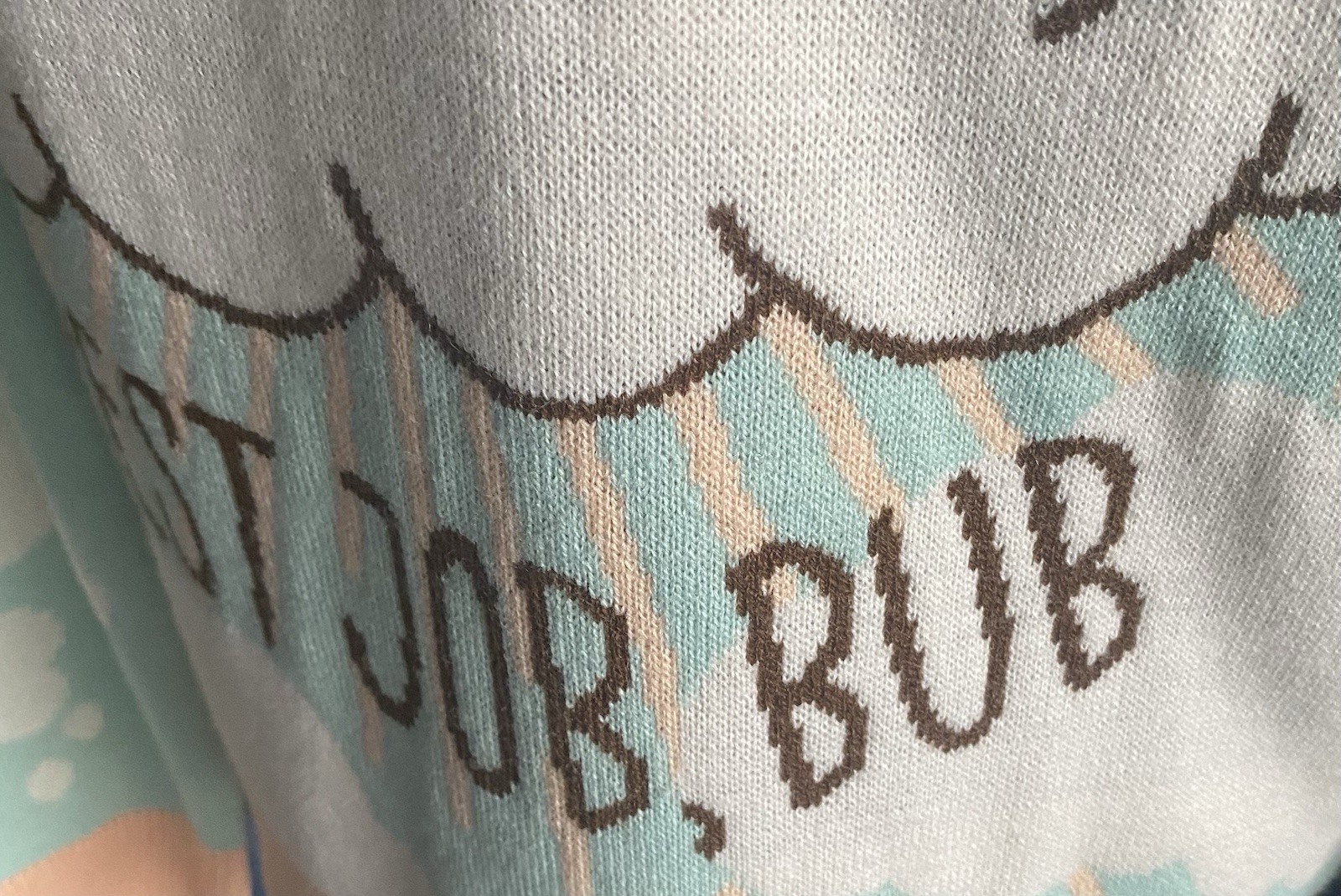 NWOT-GOOD JOB LIL BUB (iykyk)-INTERNET CELEBRITY CAT SWEATER-SIZE XS | eBay
