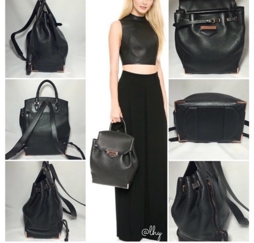 Alexander Wang large Prisma skeletal backpack nickel hardware Sale Price #2 - Picture 3 of 17