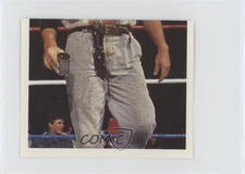 1992 Merlin WWF Album stickers Skinner #101