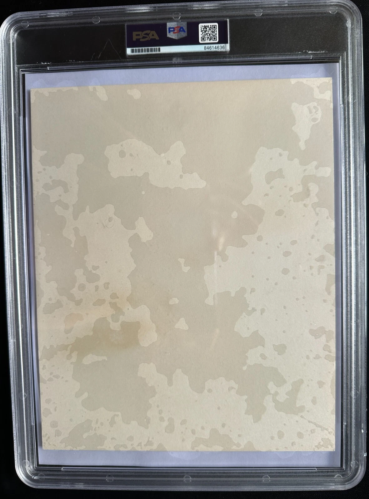 1967年 タイプ3 Muhammad Ali v Ernie Terrell ボクシングワイヤー フォト PSA スラブ カプセル化 - 画像2/2