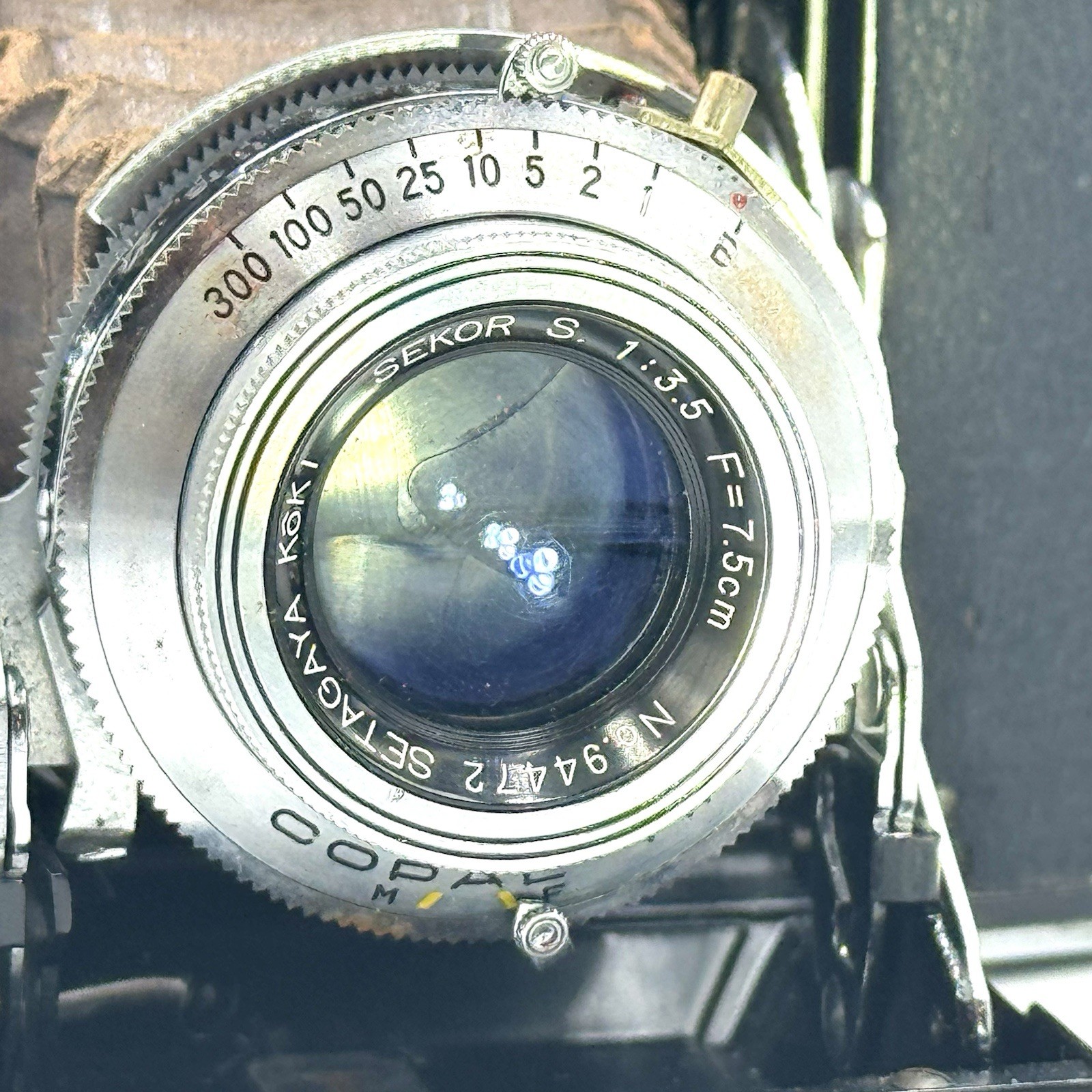 Picture 5 of 22