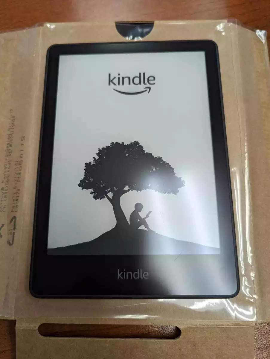 Question About Paperwhite Dark Mode Page Turn (current