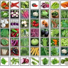 50 Variety Of Organic & Hybrid Vegetable Seeds Non-GMO For Garden Pots, Terrace.