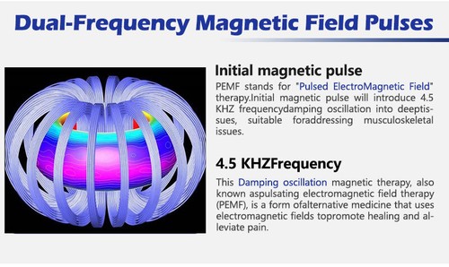 Equine PEMF Gerät PMST LOOP Magnetfeldtherapiegerät Schmerzlinderung Behandlung blau - Bild 14 von 30