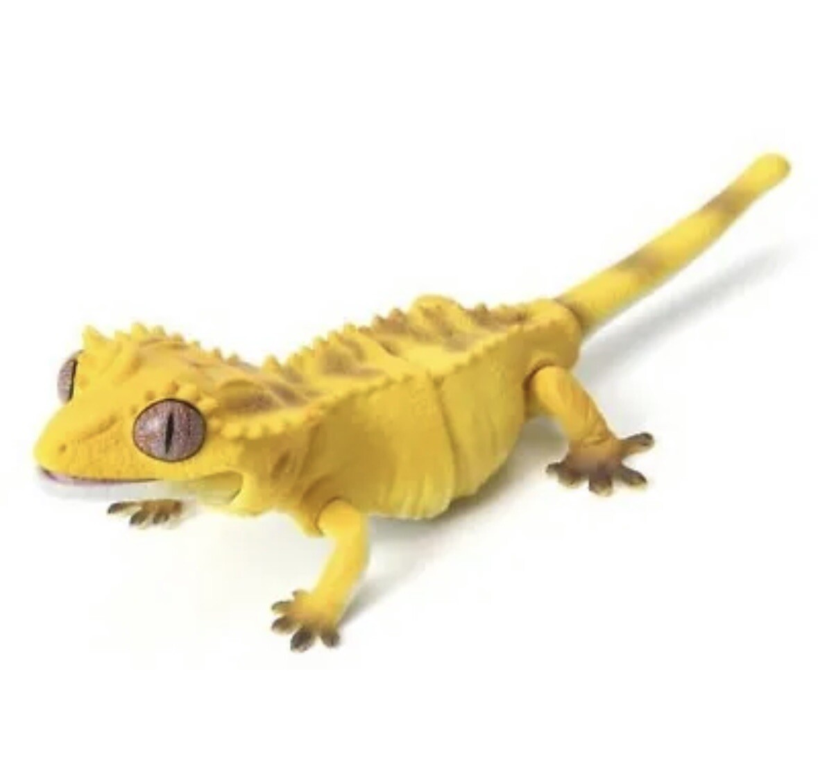 BANDAI Japan Exclusive Yellow Crested Gecko Lizard W/movable