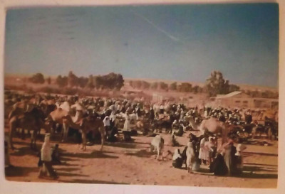 CARD ca1970;ISRAEL;BEERSHEBA CAMEL MARKET;TEL DAN, TEL AVIV YAFO  STAMPS