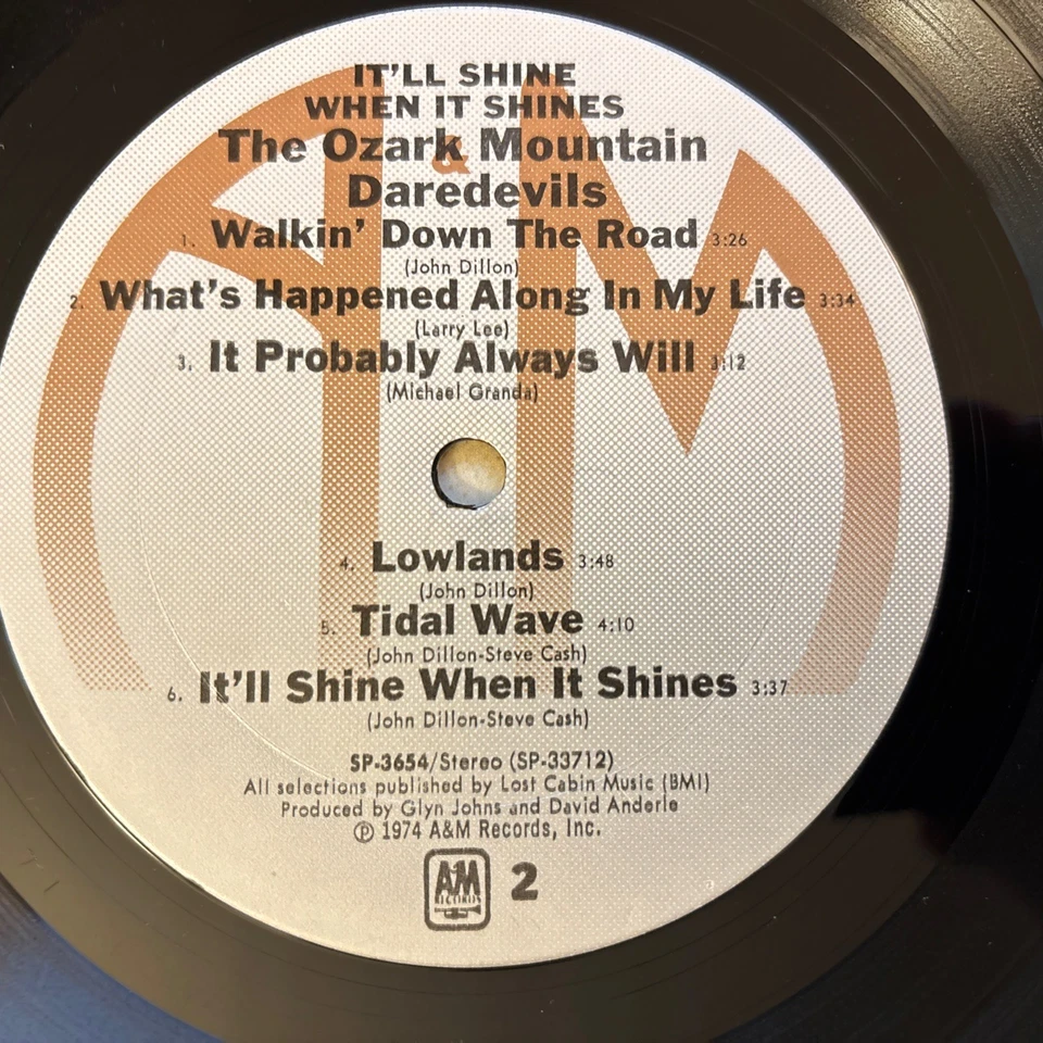 Ozark Mountain Daredevils - " It'll Shine When It Shines" - LP - Image 4 of 4