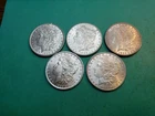 Very Nice 5 AU+ To BU Morgan Silver Dollars Mostly BU Full Original Luster