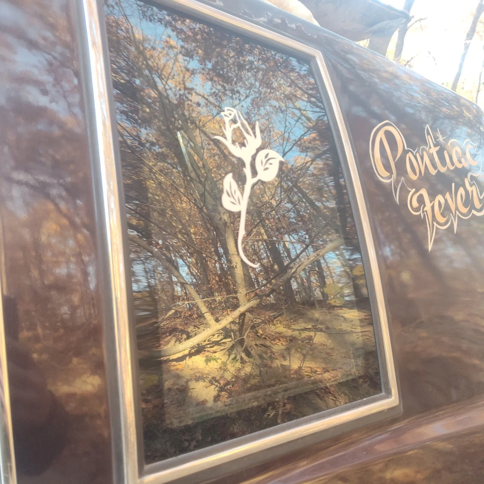 Par de ventanas traseras de cuarto de cristal Pontiac Grand Prix 1981-1987 para coche superior de vinilo Foto 4 de 4