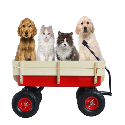 Outdoor Sportwagen Werkzeugwagen Holz Seitenteile Luftreifen Wagen rot - Bild 7 von 20