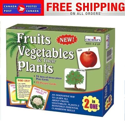 62Pcs Game And Puzzles Jigsaw Educational Vegetables and Their Plants Card