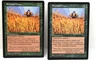MTG,ELEPHANT GRASS (x2), VISIONS, NM, NEVER BEEN PLAYED