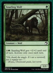 Snarling Wolf 199/277 Innistrad: Midnight Hunt MTG Common