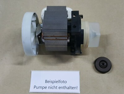 Wellendichtring für Miele- Pumpe z.B. eingebaut in Miele WA W 903,W907,W822 etc
