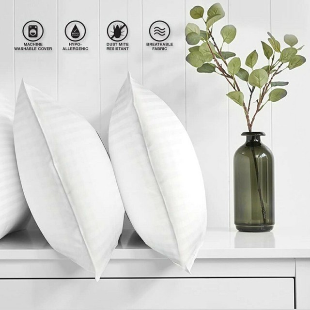 DreamNorth Perfectly Plush Pillow 2 Pack Premium Soft Luxury Gel Bed Queen New | eBay
