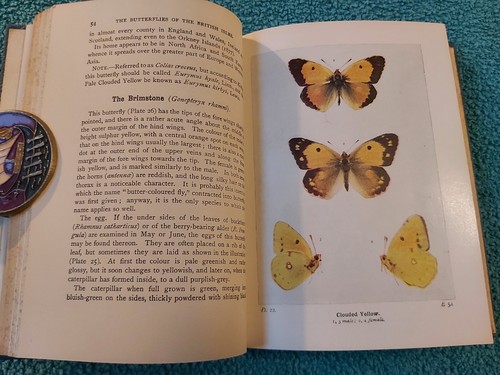 Wayside & Woodland, Schmetterlinge der britischen Inseln, Süden, 1960, HB mit DJ - Bild 13 von 16