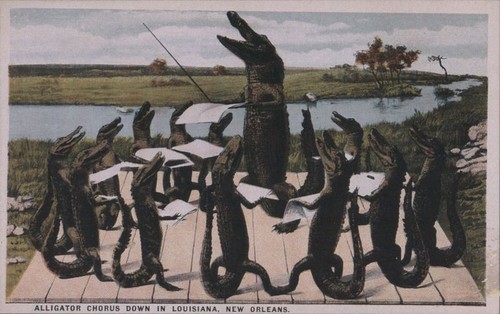 Alligator Chorus Down in Louisiana,New Orleans,LA Teich Vintage Postcard