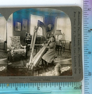 Home United States Consul Stockholm Sweden Keystone Stereoview
