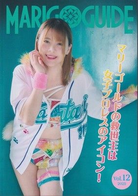 Dream Star Fighting Marigold Wrestling Official Guide Book Vol. 12