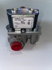 Vulcan Hart Valve Combo W.R. 25M02-737 Nat