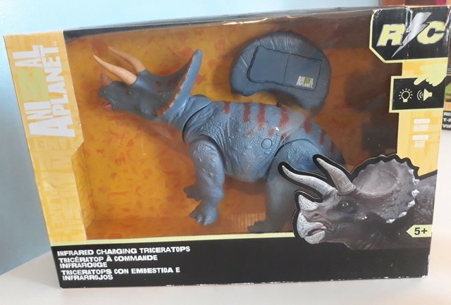 rc triceratops