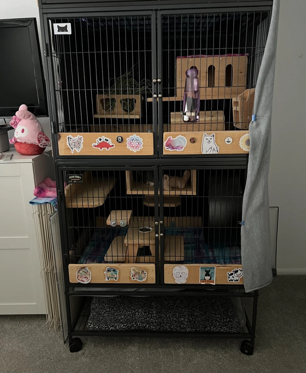 Ferret Nation for sale | eBay